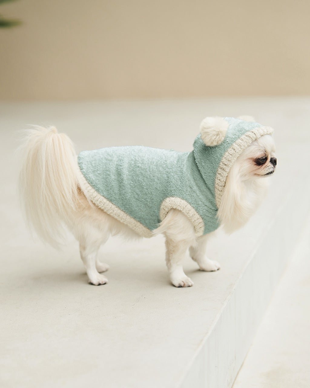 【ヌックル/Nukle】のNukle・テディドッグウェア/フーディ インテリア・キッズ・メンズ・レディースファッション・服の通販 founy(ファニー) 　ファッション　Fashion　レディースファッション　Fashion for Women　ソックス&靴下　Socks & Hosiery　ソックス　Socks, Hosiery　ダブル　Double, Double-Breasted　ポンポン　Pom-Pom, Fluffy Ball　防寒　Cold Protection, Winter-Ready　冬　Winter / This Winter　犬　Dog　ブルーグリーン|ID: prp329100004938378 ipo3291000000037057487
