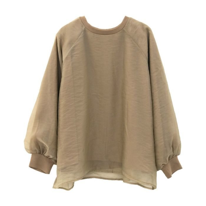 【アクアガレージ/aquagarage】のオーガンジーシアー長袖トップス インテリア・キッズ・メンズ・レディースファッション・服の通販 founy(ファニー) https://founy.com/ ファッション Fashion レディースファッション Fashion for Women トップス・カットソー Cut & Sew Tops シャツ・ブラウス・オフィスカジュアル Elegant Blouses & Button-Ups ロングTシャツ・Tシャツ Longline T-Shirts & Tees カットソー・ベーシックTシャツ Cut-and-Sewn Tops / Stretch Tees & Basics 送料無料 Free Shipping インナー Innerwear カットソー Cut and Sewn Top シアー Sheer, See-Through プチプライス・低価格 Affordable / Budget Price 長袖 Long Sleeve, Full Sleeve |ID: prp329100004391009 ipo3291000000030700358