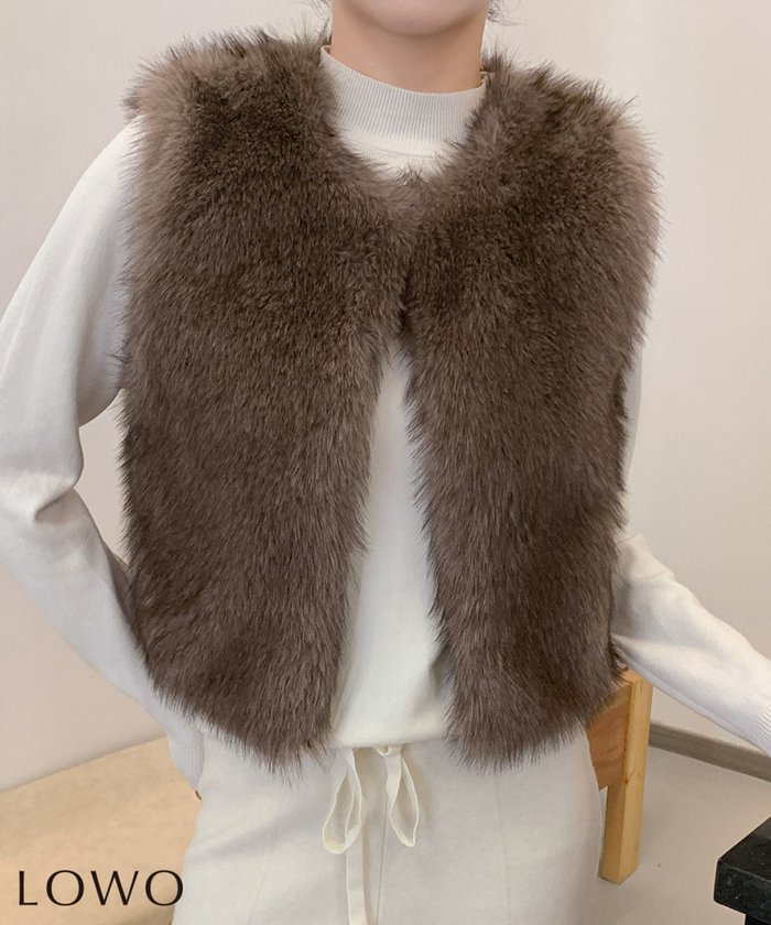 【ロワ/LOWO】のショート丈フェイクファーベスト インテリア・キッズ・メンズ・レディースファッション・服の通販 founy(ファニー) https://founy.com/ ファッション Fashion レディースファッション Fashion for Women アウター Coat / Outerwear Collection トップス・カットソー Cut & Sew Tops ベスト&ジレ / 重ね着スタイル Vests & Gilets 新作・新入荷 New Arrivals / New In ショート Short, Short Length プチプライス・低価格 Affordable / Budget Price |ID: prp329100004769427 ipo3291000000036172297