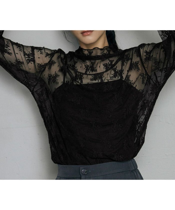 【ロワ/LOWO】の【選べる2タイプ】レース刺繍ハイネックシアーカットソー インテリア・キッズ・メンズ・レディースファッション・服の通販 founy(ファニー) https://founy.com/ ファッション Fashion レディースファッション Fashion for Women トップス・カットソー Cut & Sew Tops カットソー・ベーシックTシャツ Cut-and-Sewn Tops / Stretch Tees & Basics 新作・新入荷 New Arrivals / New In プチプライス・低価格 Affordable / Budget Price レース Lace, Lace Fabric |ID: prp329100004776927 ipo3291000000036162476